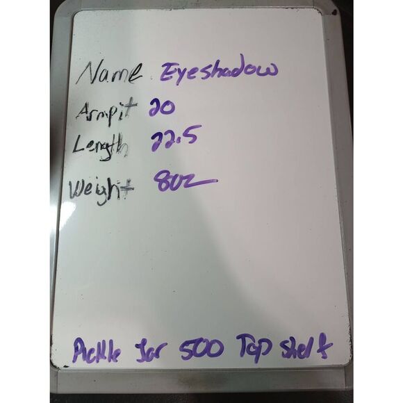 Eyeshadow Shirt Ladies Large Pink Chiffon Sheer - Picture 8 of 8